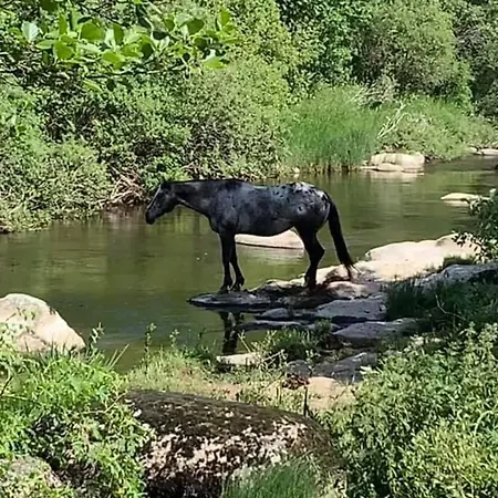 La Truyere, A La Chaldette Saint-Rémy-de-Chaudes-Aigues