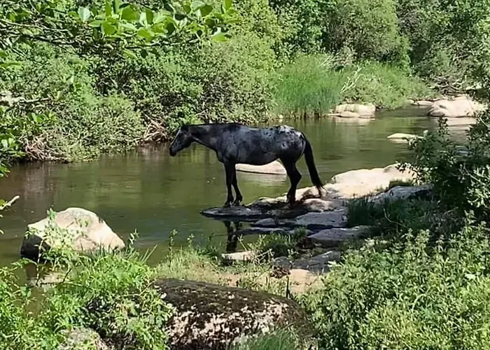 La Truyere, A La Chaldette Saint-Rémy-de-Chaudes-Aigues